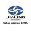 CABO DE  VELOCÍMETRO JIALING JH-125 L cód. JI043